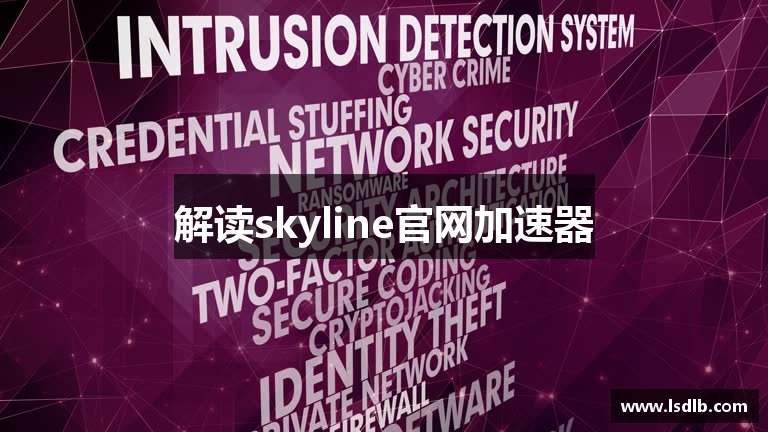 解读skyline官网加速器